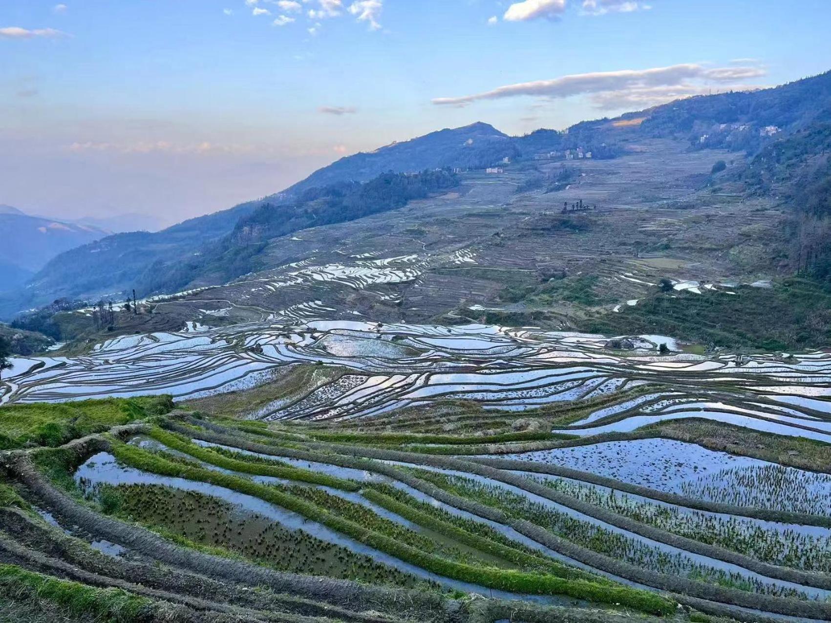 Yuanyang Flower And Horse Inn Eksteriør billede